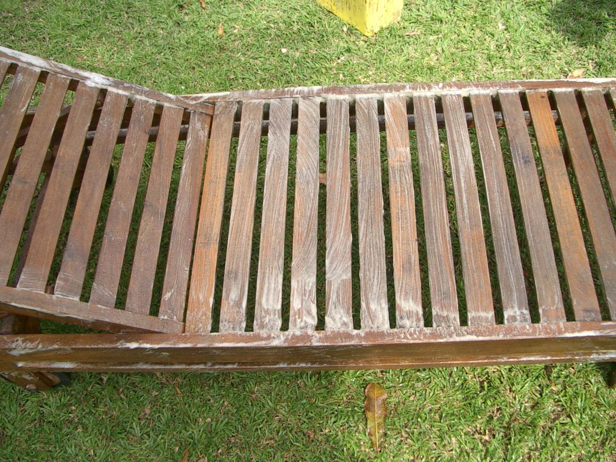 ניקוי מיטת שיזוף